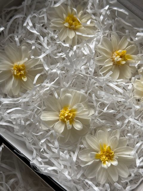 image_F66896E2-5BD9-4837-A70B-0238836827FF_1767358998