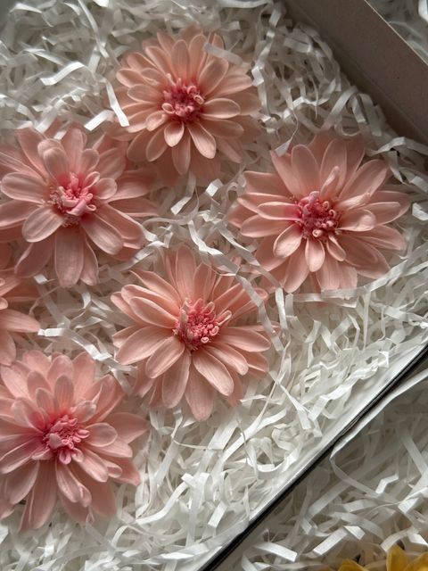 image_F7F32AFC-B461-4DEE-BF41-EB04532F1275_1767359029