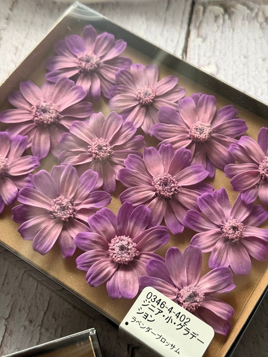 image_43323C6E-3312-44BA-9963-35F79A94A204_1767363564