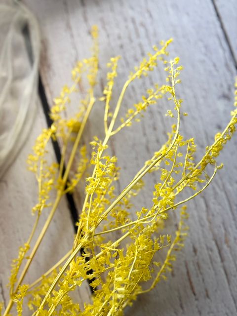 image_A6BA9C5D-0EA2-4EE1-A853-D791BED4B8D1_1767934434