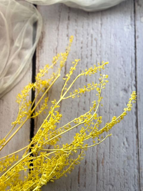 image_8F63D1A9-51F5-413F-B1FE-7FF14738D936_1767934434