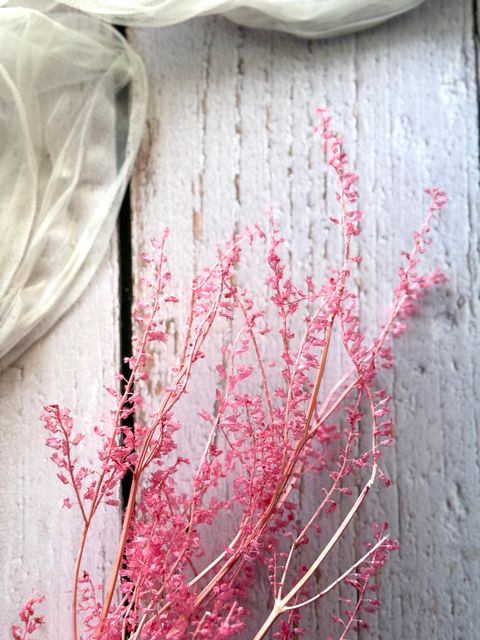 image_41481979-3E1F-4E99-A43F-4370115E930E_1767934489