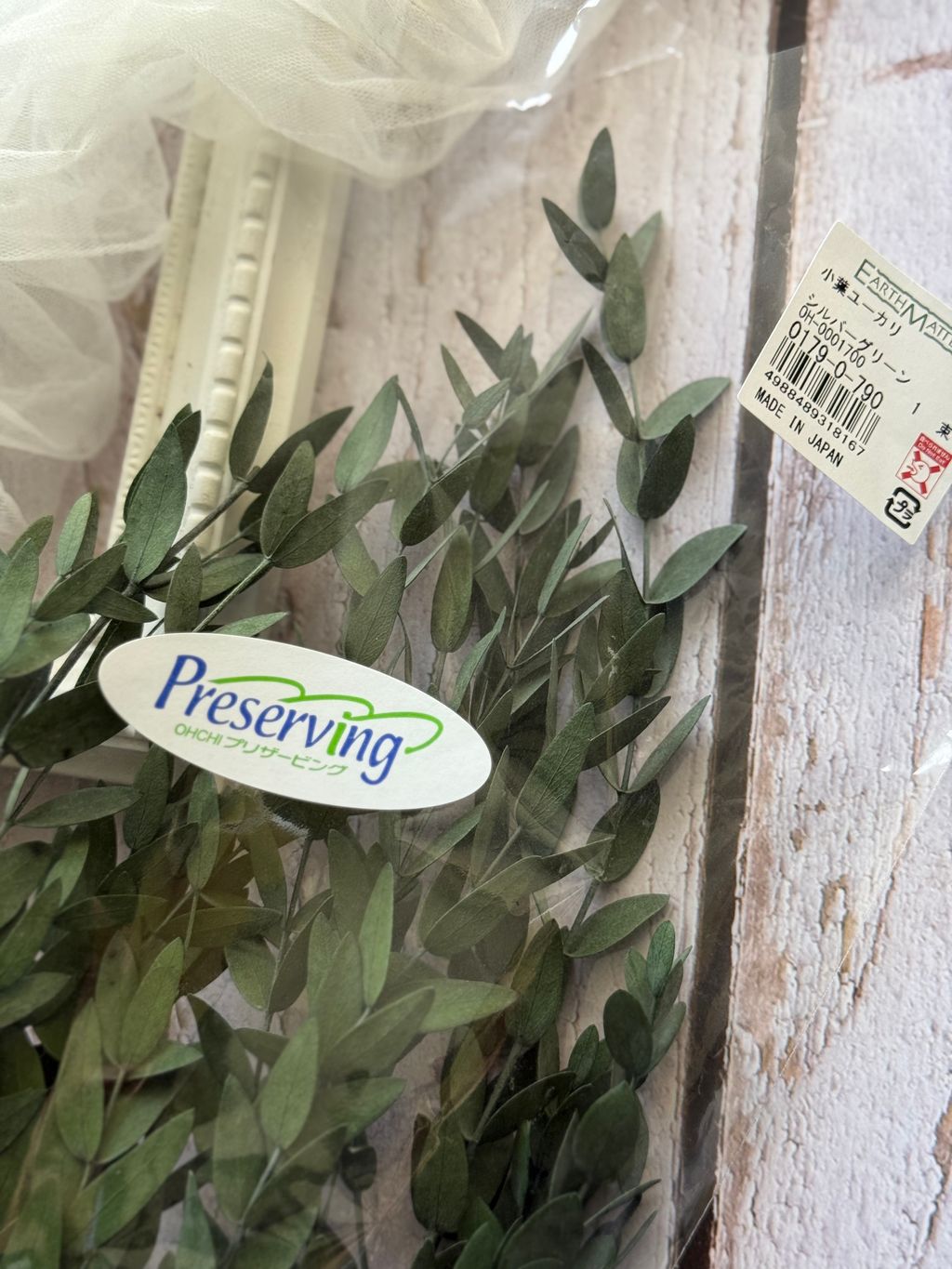 image_D06A556C-D80A-4FE5-9ADA-7059EA76F39B_1767934679