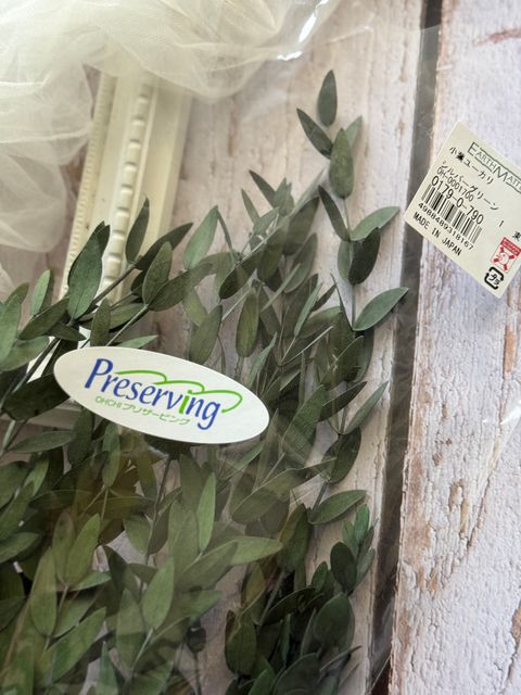 image_D06A556C-D80A-4FE5-9ADA-7059EA76F39B_1767934679