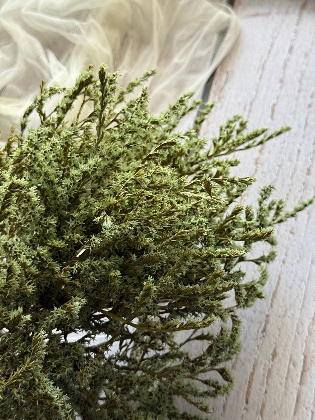 image_7D464B24-17DB-4DA0-A3D1-5205B805CC12_1767934711