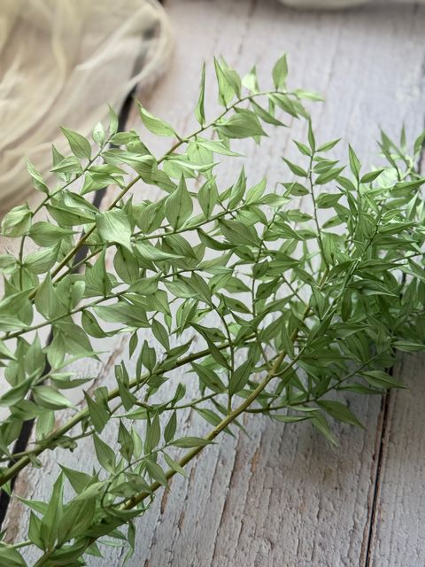 image_631ECB07-1C9F-4AD7-A348-2D4ABA686D34_1767934764