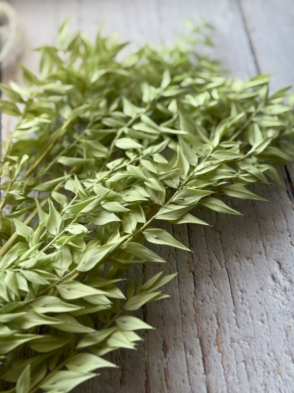 image_4FB4CA0E-47B7-46C3-8390-1E85D30F1DB4_1767934783