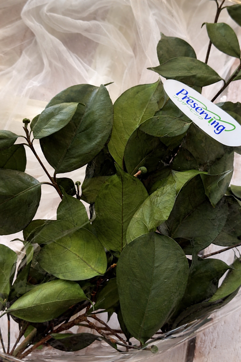 image_2BF0D3C8-0F3D-446A-B339-695610324173_1767938010