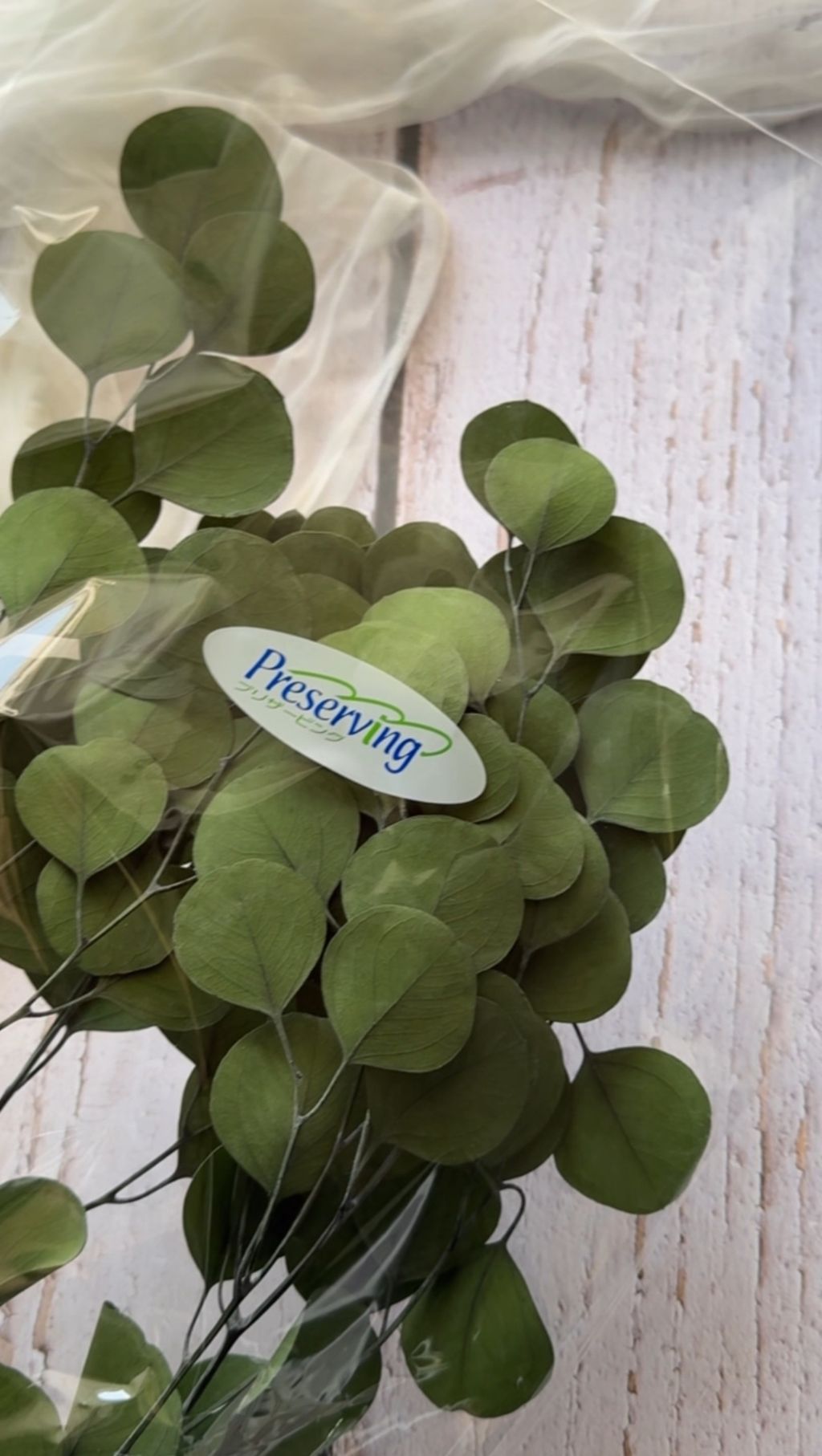 image_AD58CD38-AD95-4F11-8AE6-EF3F8BB0B624_1767941078