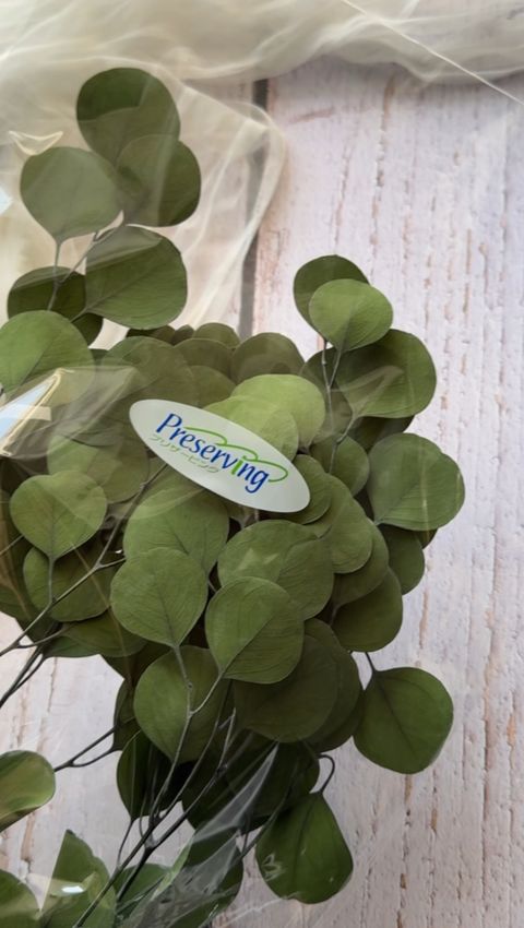 image_AD58CD38-AD95-4F11-8AE6-EF3F8BB0B624_1767941078