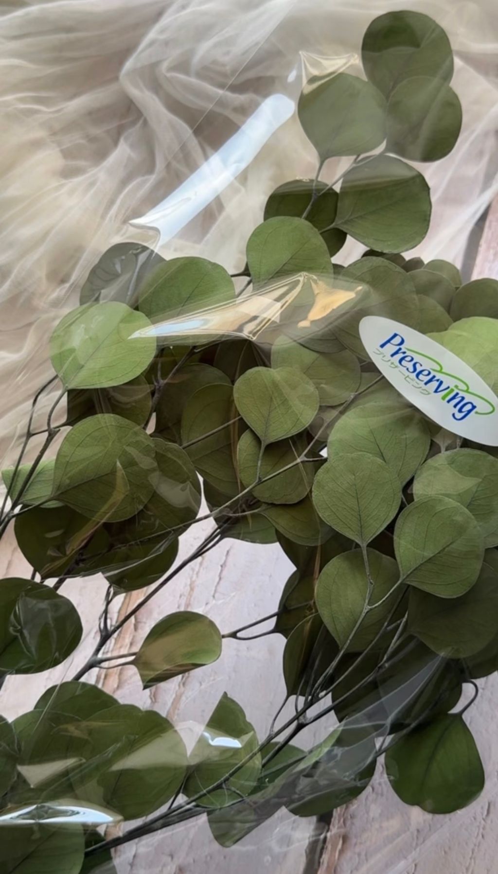 image_6A9A4793-F1B6-45A3-8957-CDDDCE752AD2_1767941078