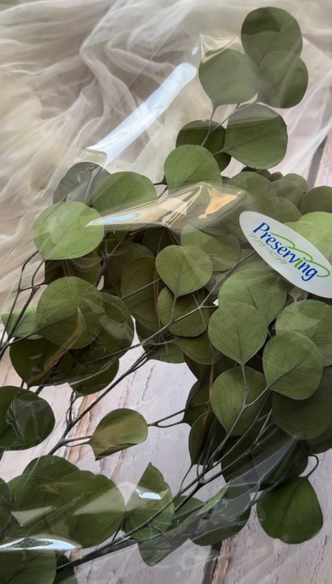 image_6A9A4793-F1B6-45A3-8957-CDDDCE752AD2_1767941078