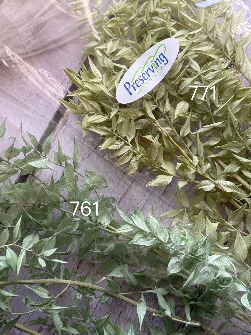 image_DDD23C1A-08B4-4B88-B0B9-2F68D56D2ED1_1767941349