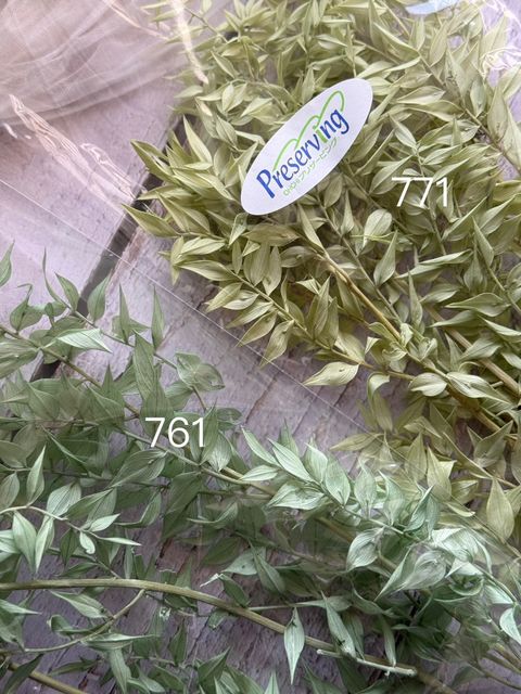 image_DDD23C1A-08B4-4B88-B0B9-2F68D56D2ED1_1767941349