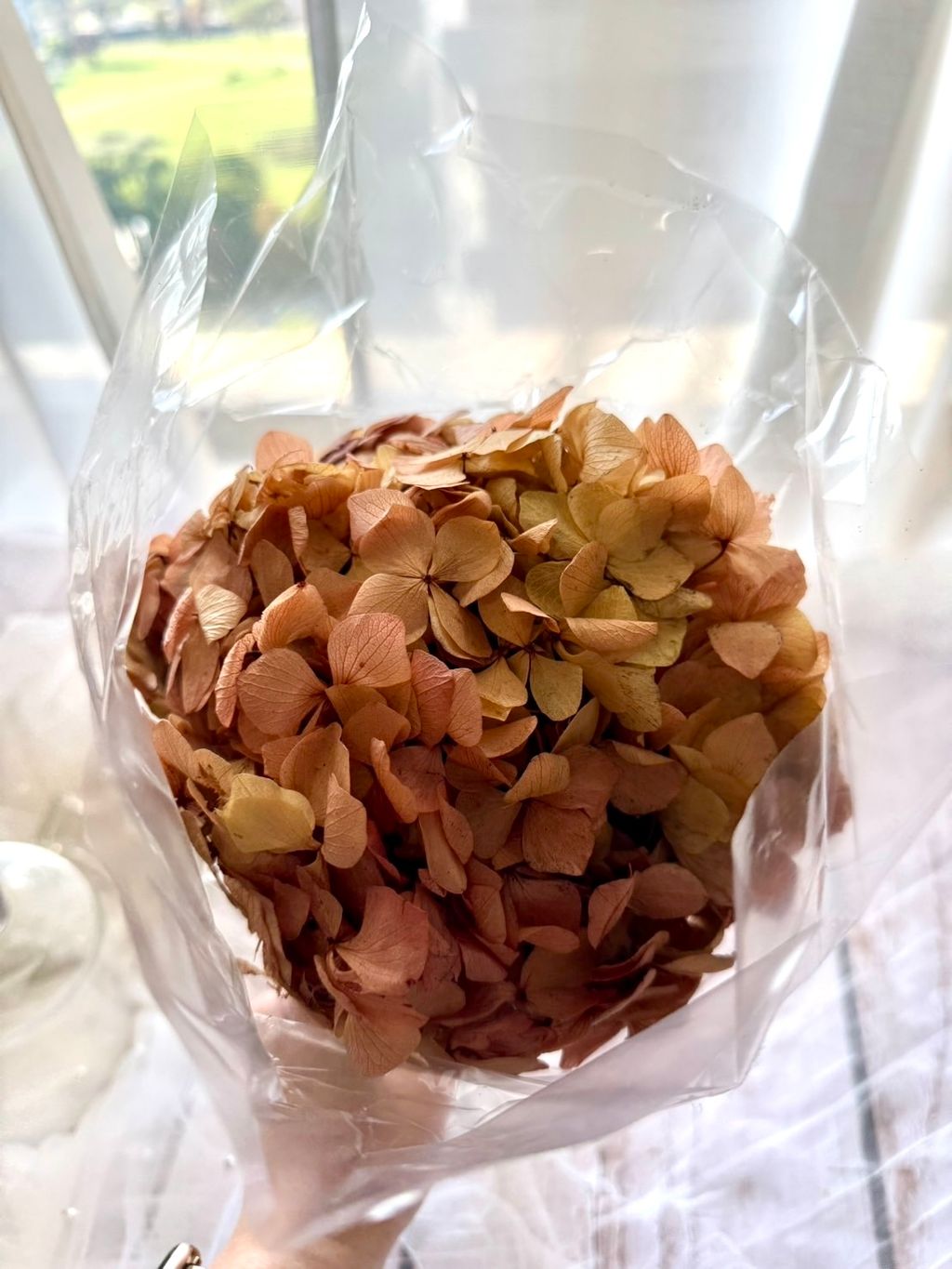 image_E34C7D8C-2D6B-4B69-9A66-46130783394D_1768375984