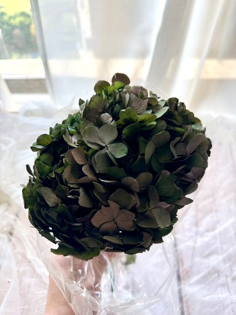 image_2ADA8802-E4A3-4759-B311-E17E2EC1C78C_1768376200