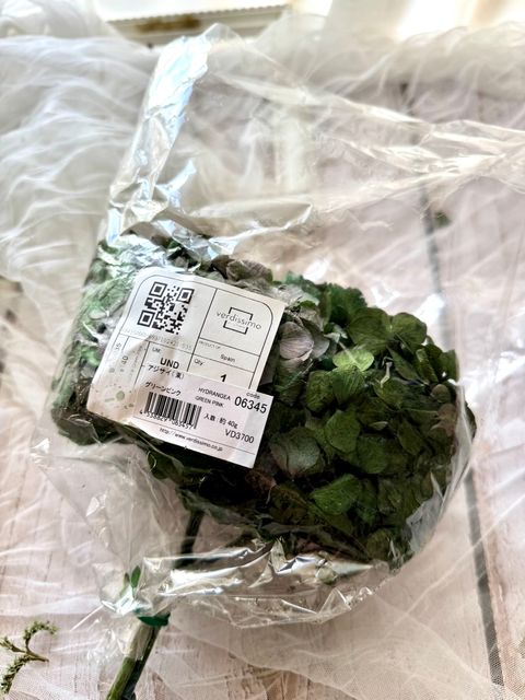 image_F396C8B3-D167-435D-85AD-4CFD5CB25FAB_1768376200