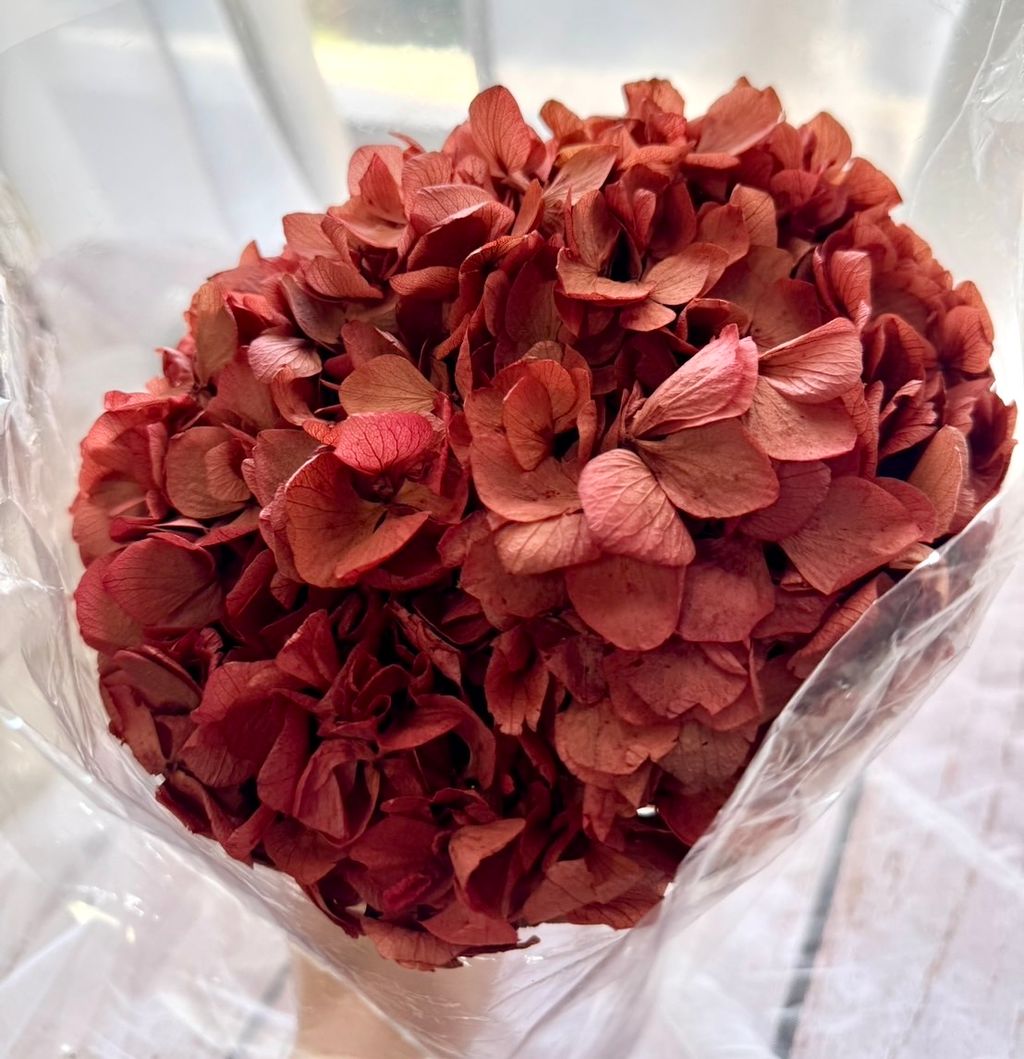 image_3C578468-F15D-4434-9199-DB00E74B9461_1768376314