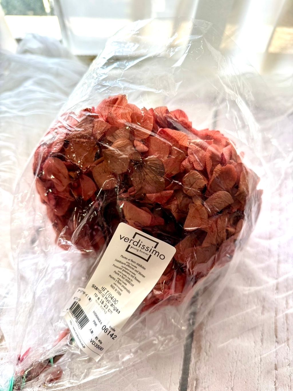 image_31E596FE-7380-4502-B4EA-B8483B8C78A0_1768376314