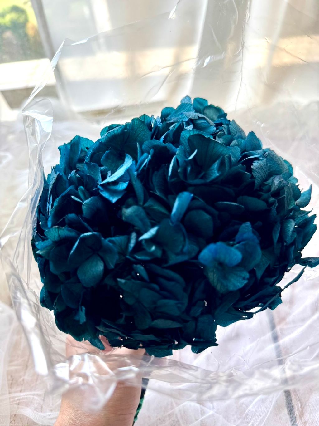 image_5292CF8E-1F6F-4A16-9269-0500F49D765B_1768376420