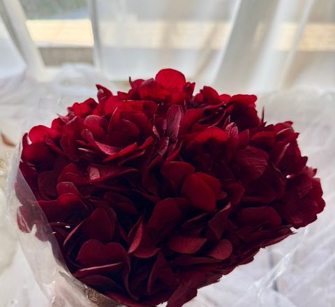 image_C0ACD6A6-9190-46AD-B588-DC10C9171880_1768376693