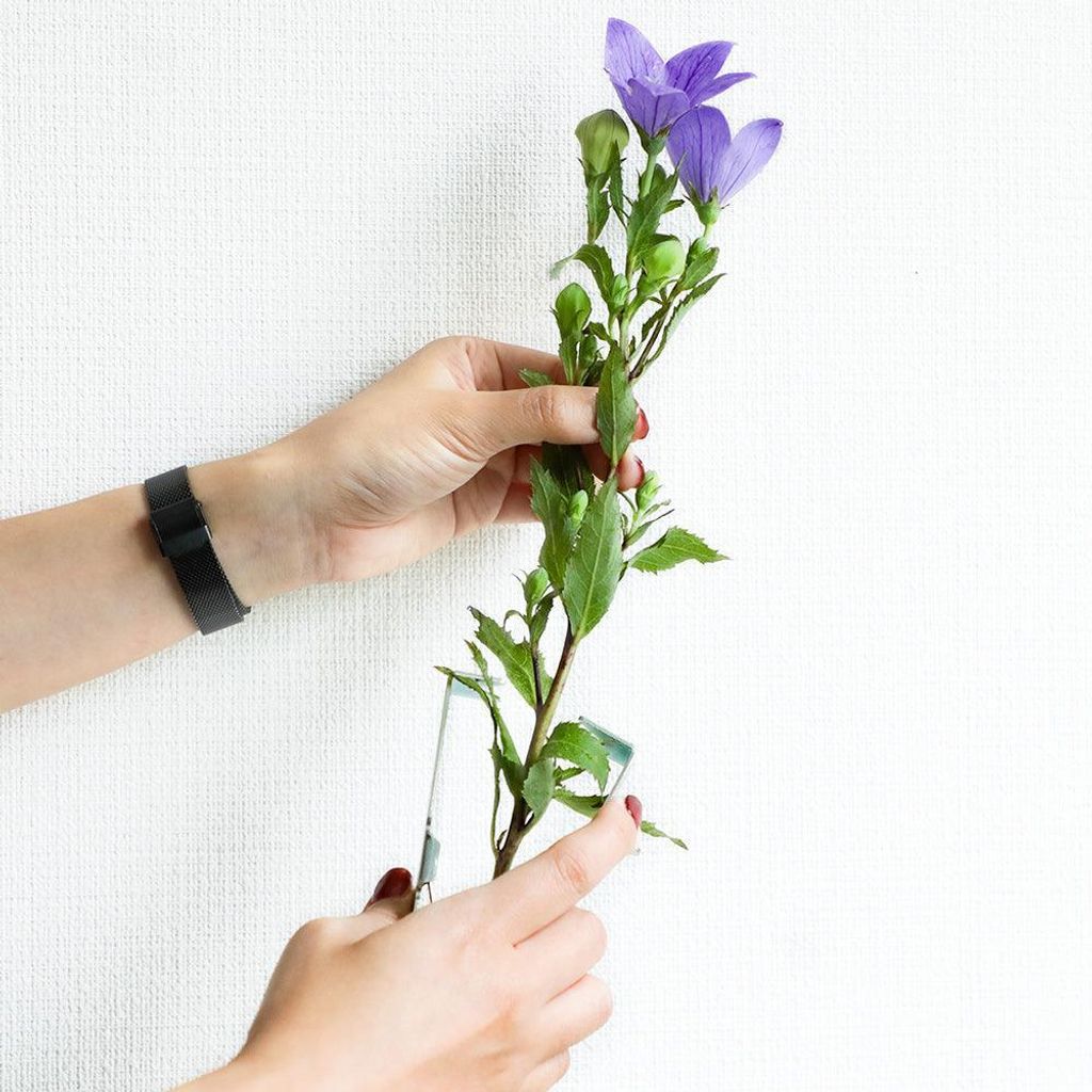 hnfbk_200623_10_1024x1024@2x