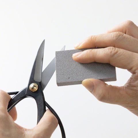 img_06_f24fca0d-187f-44ae-995c-aa2032ab9af4_1024x1024@2x