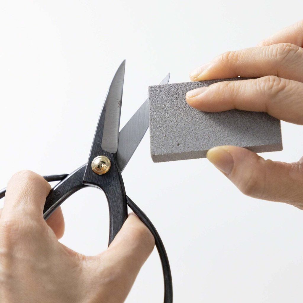 img_06_e4d5ebdf-9959-4293-8edc-7a0cfc5a047b_1024x1024@2x