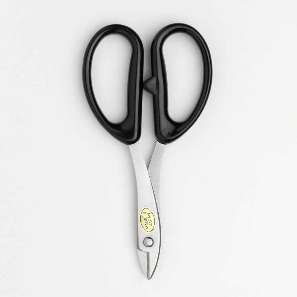 02_210f5417-80e1-44ce-bc3a-97bc903fe62d_1024x1024@2x