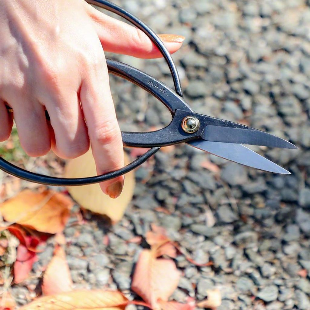 wzkr_201022_14-min_1024x1024@2x