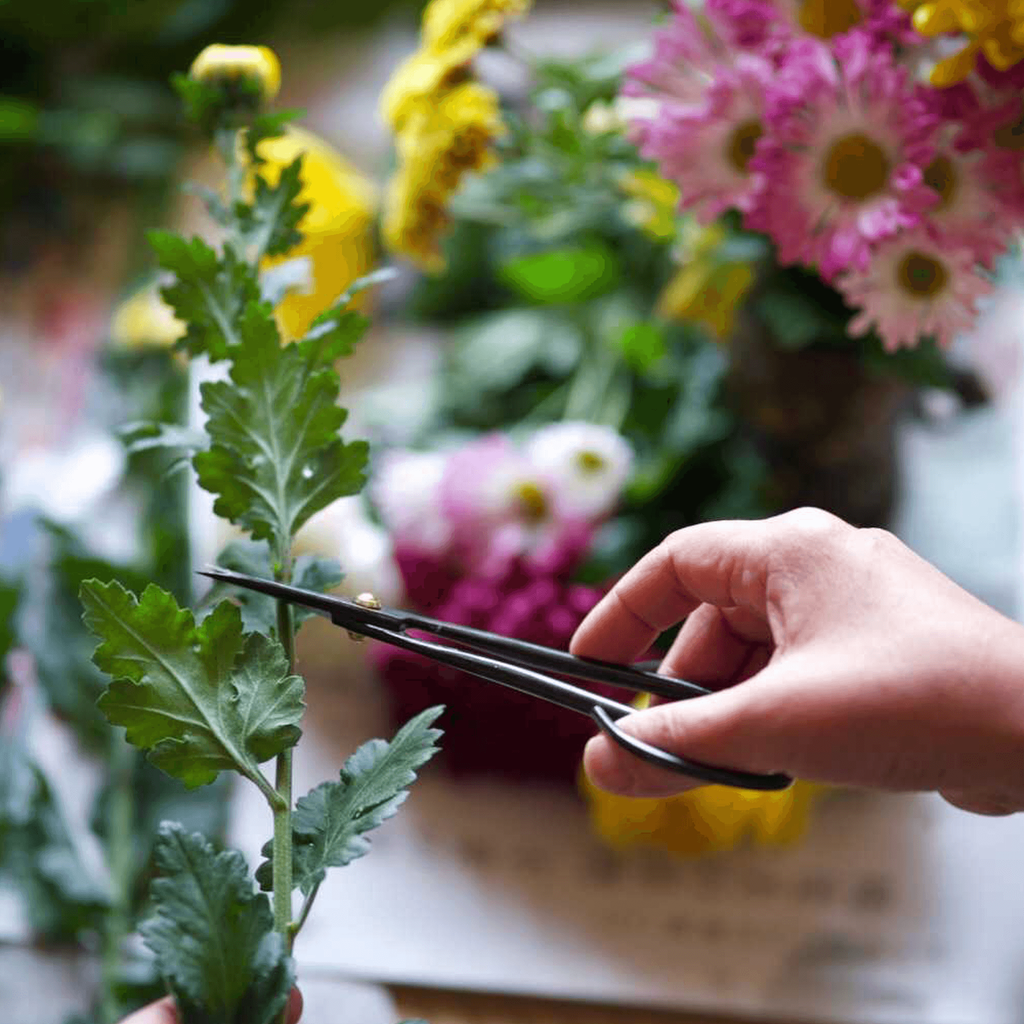 07_7aaccb57-0e34-496a-b016-db5f9933e359_1024x1024@2x