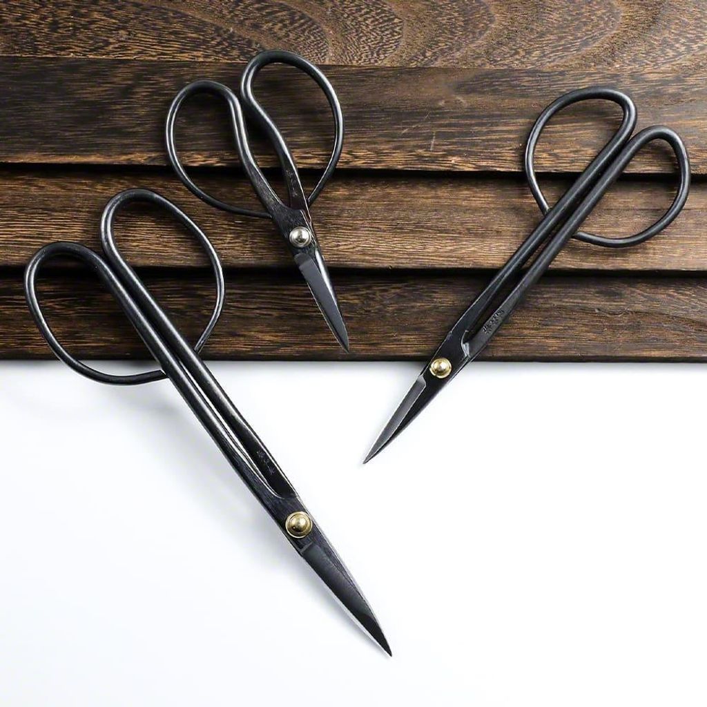 wzkr_200728_08_1024x1024@2x