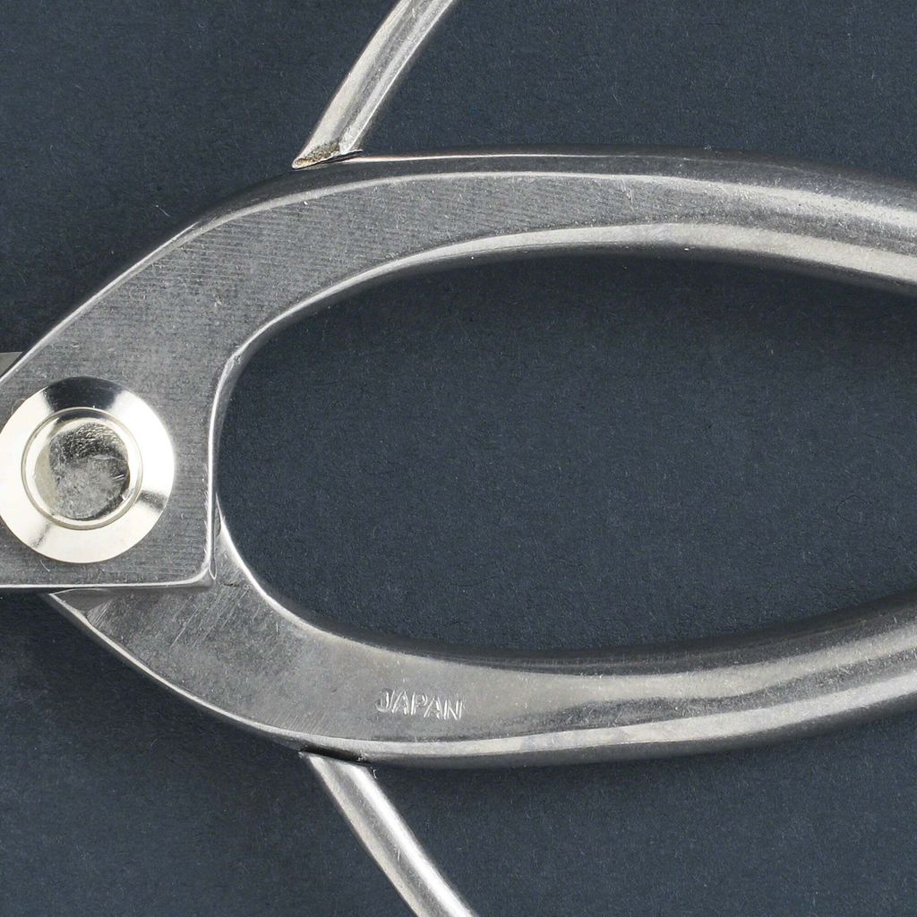 05_10fed557-86d4-4ab6-a87f-cc0b51da0326_1024x1024@2x