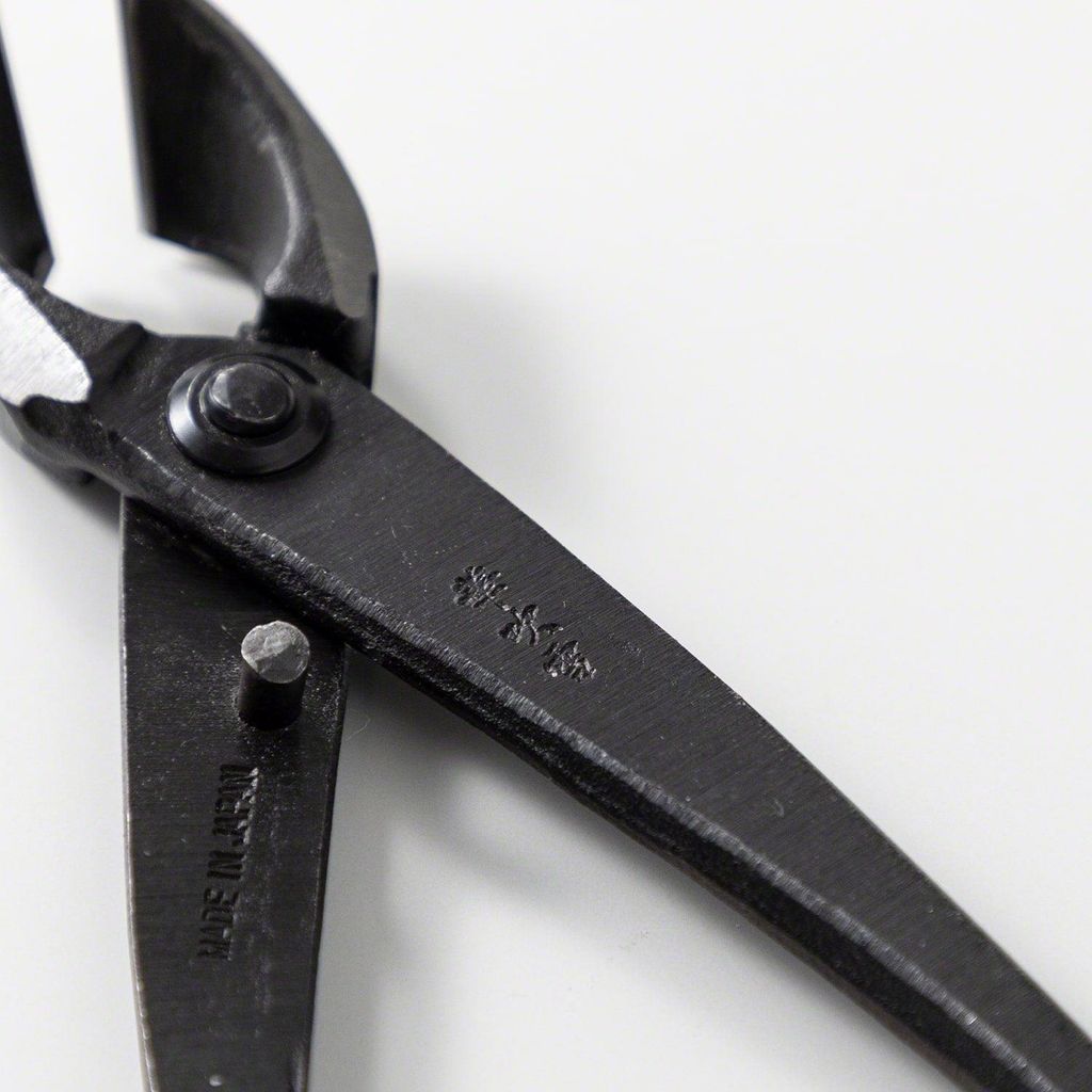 img_06_089e1fcd-533e-462e-92ce-951d2ac3c68f_1024x1024@2x