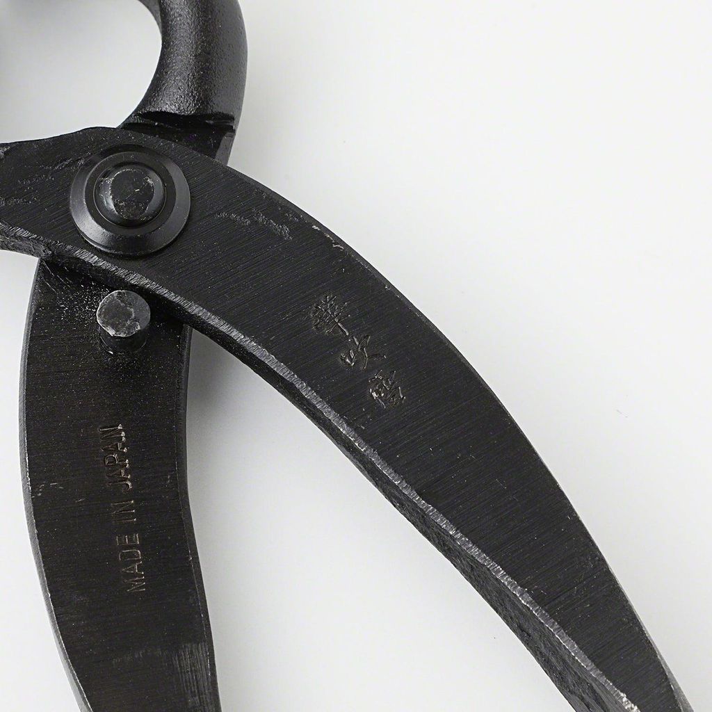 img_03_0223e38e-369d-4725-8114-c50ce01e16f9_1024x1024@2x