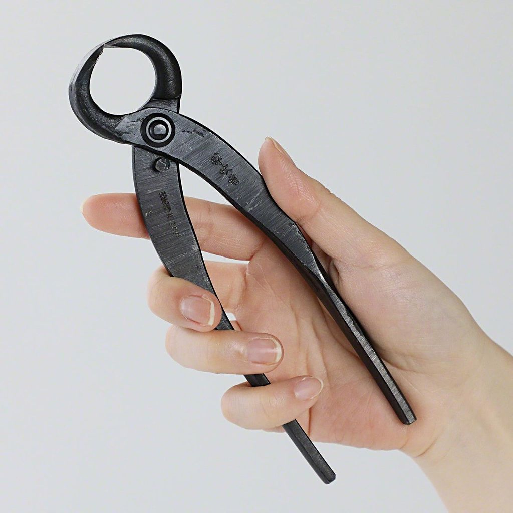 img_06_8b5a4d13-a34b-40a2-9d4b-c2147a86690e_1024x1024@2x