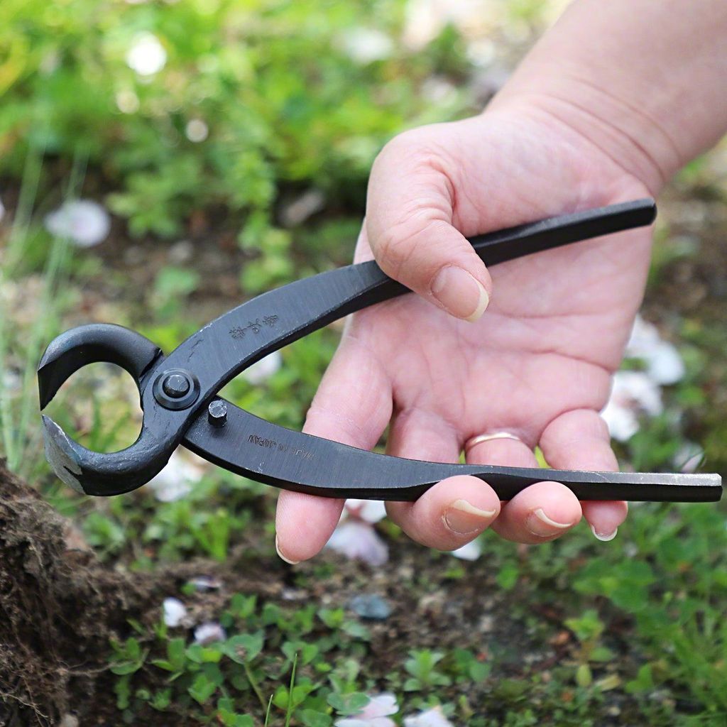 img_07_3e8b3eb2-28ba-444b-83aa-b591299d3057_1024x1024@2x