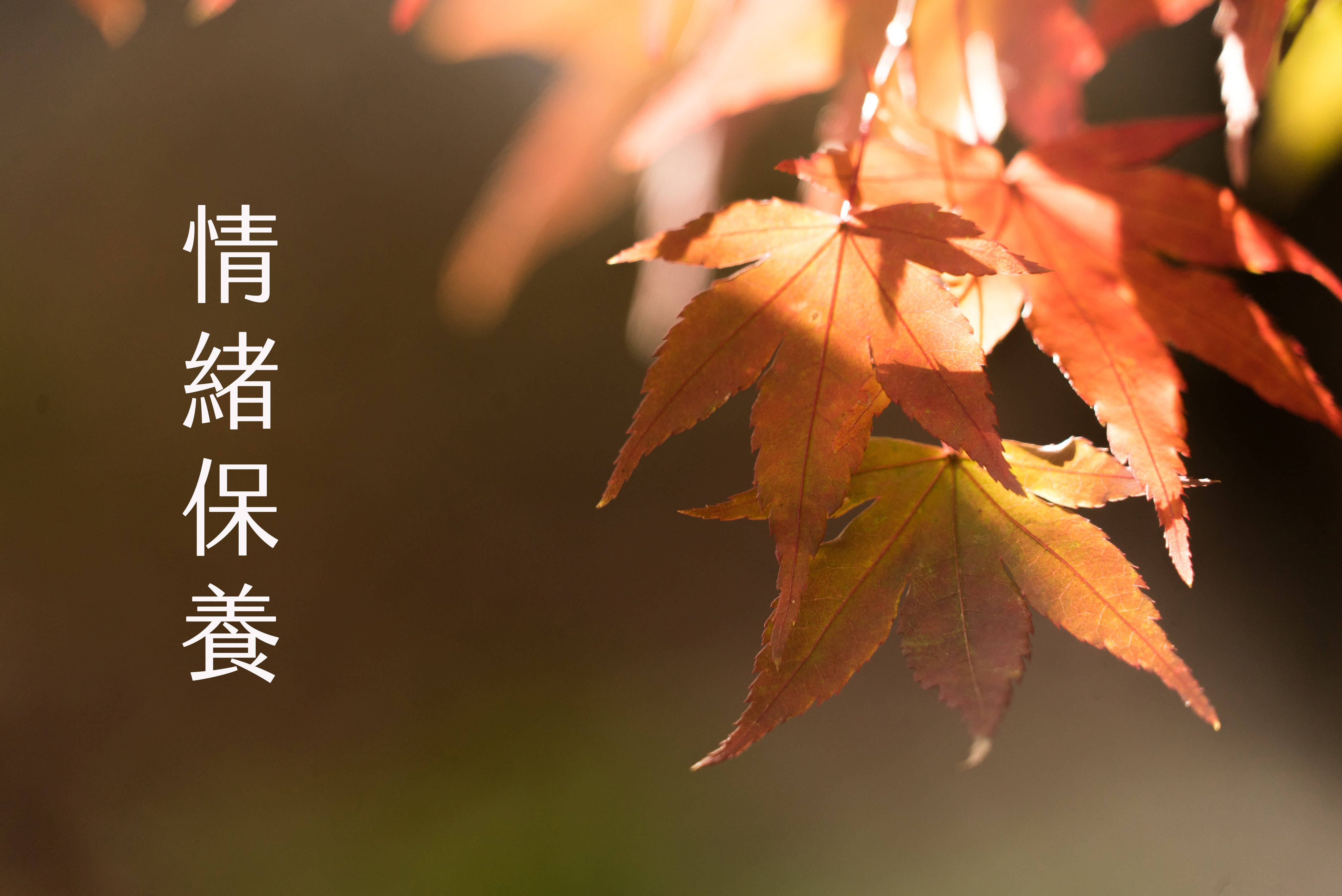 做好情緒保養 快樂到春夏