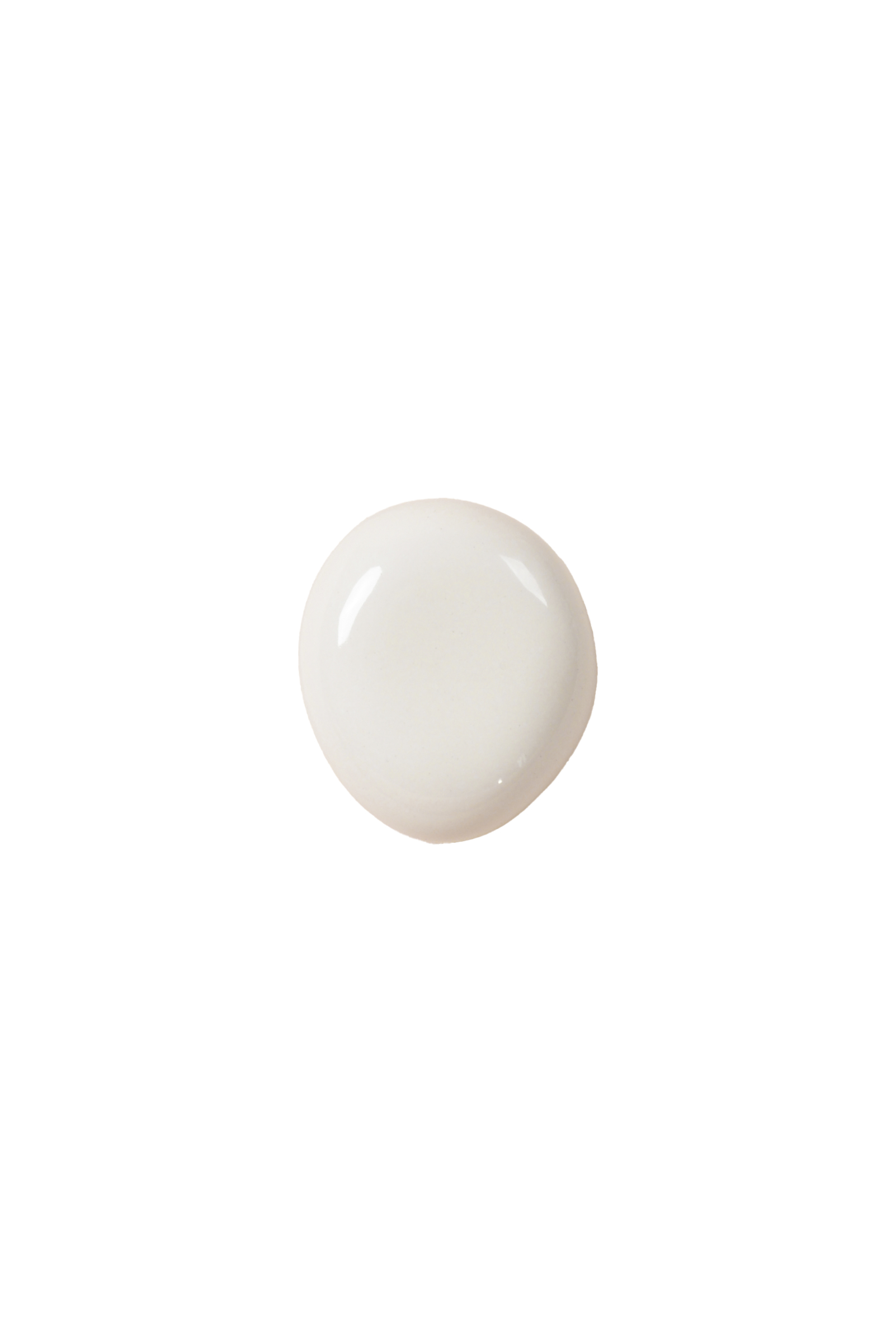 FOSSIL_PEBBLE_CHALK