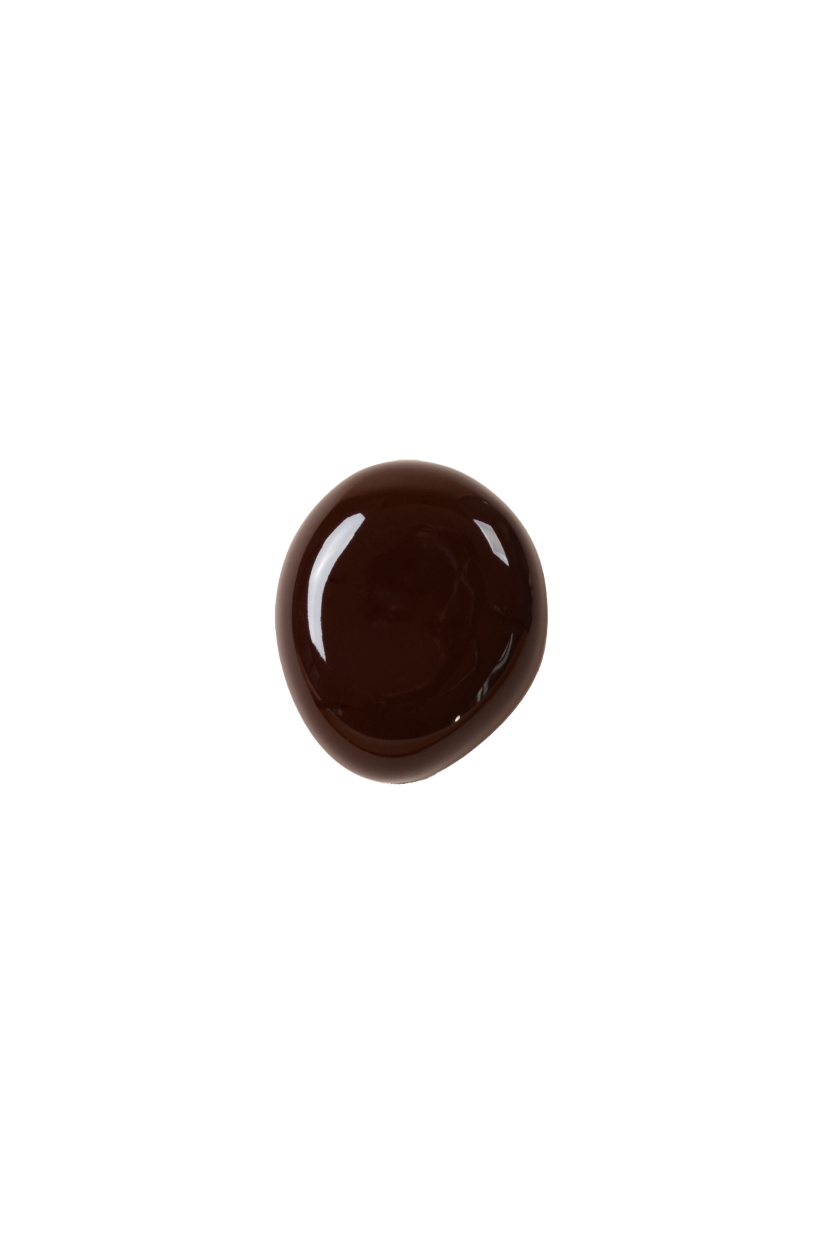 FOSSIL_PEBBLE_TERRA