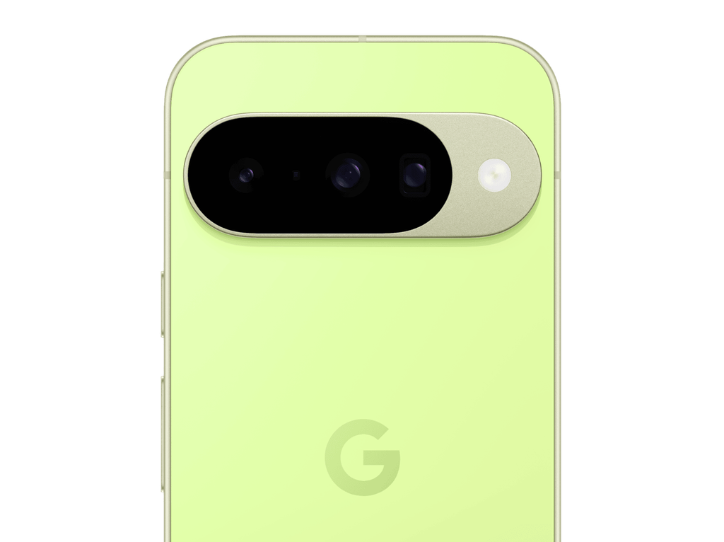 P10 Lemongrass 3