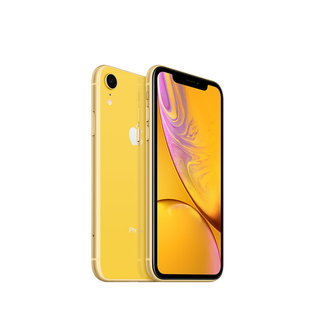 IPXR (2)