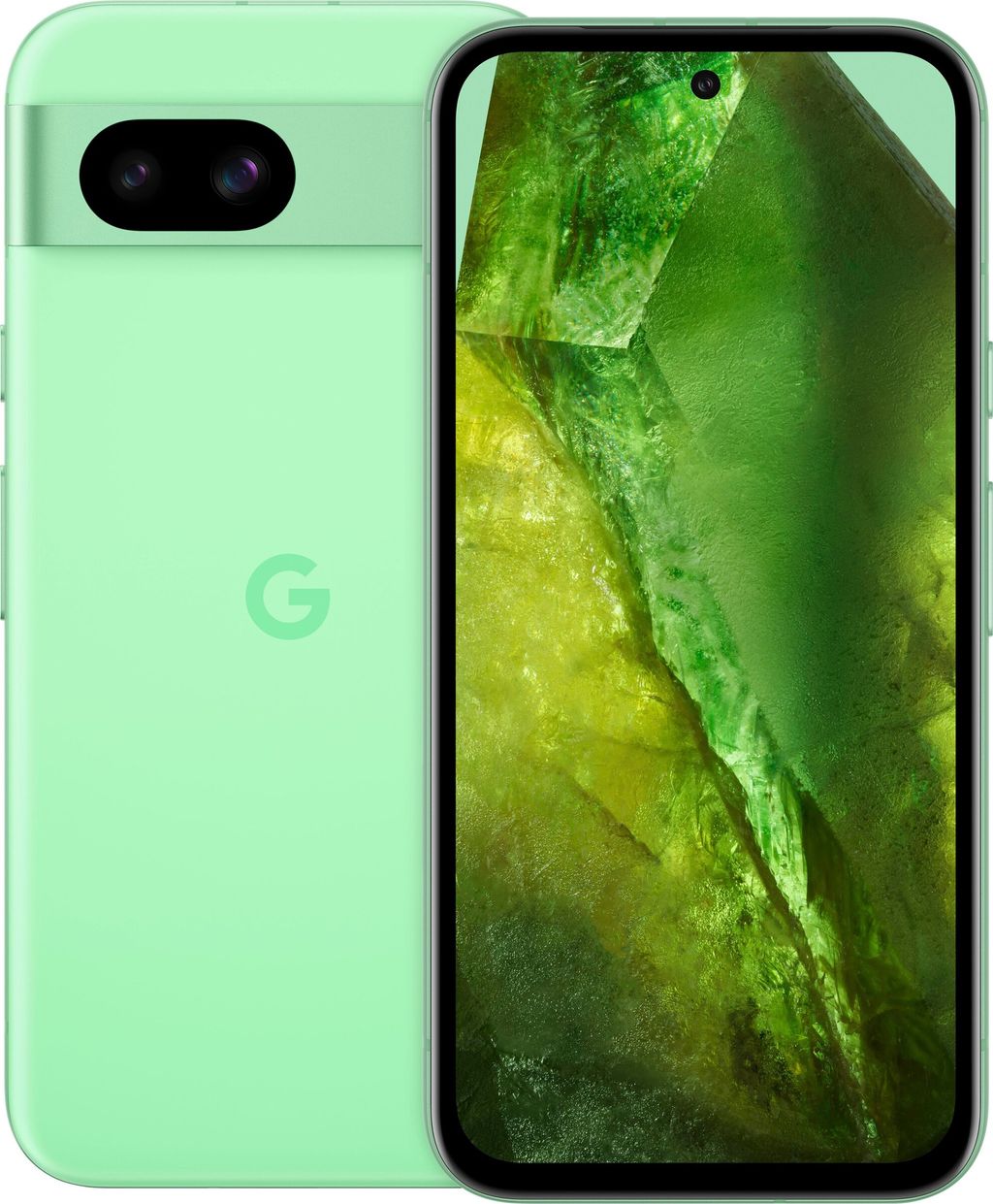 P8a Aloe 1