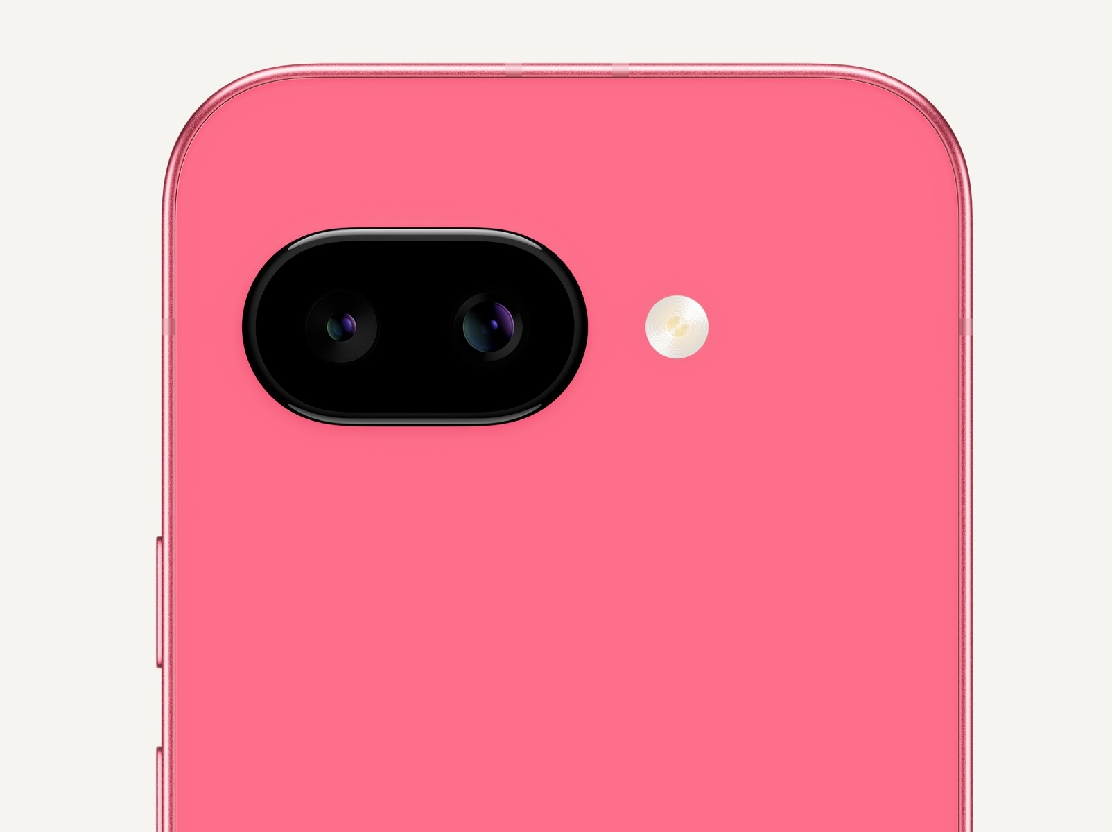 P9a Peony 2