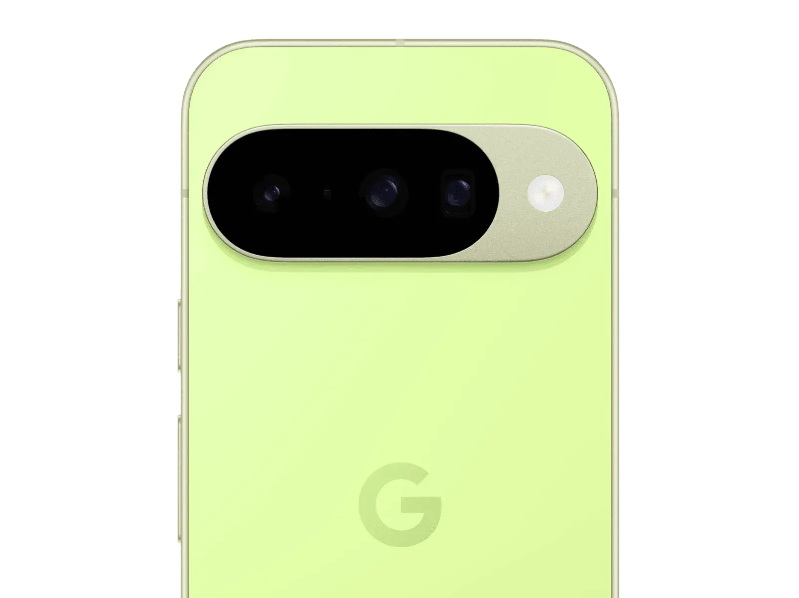 P10 Lemongrass 3