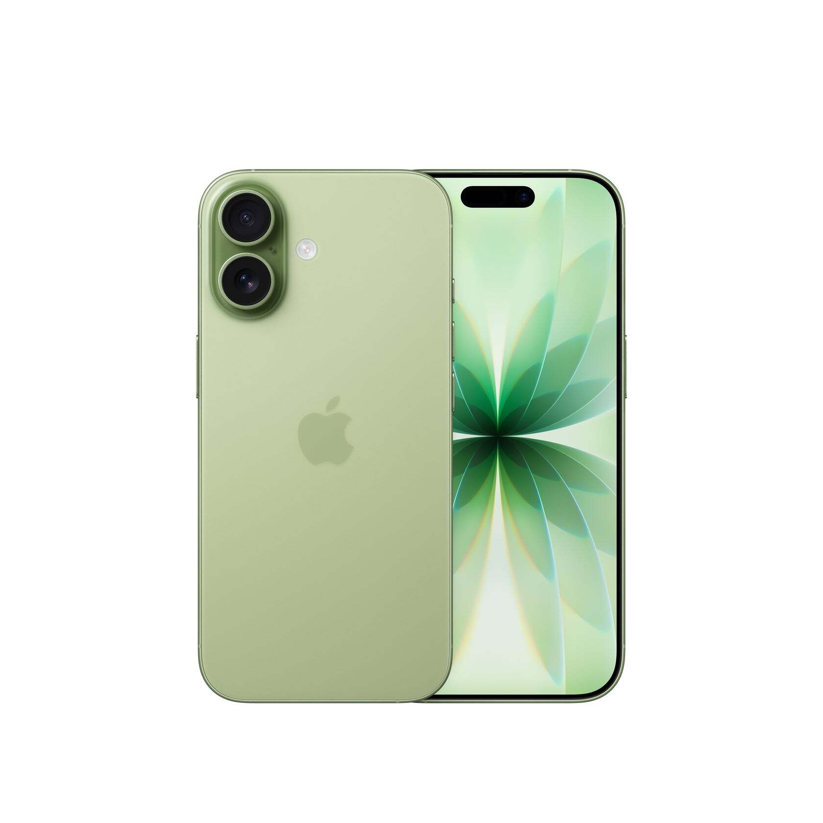 iPhone_17_Sage_PDP_Image_Position_1_Sage_Colour__MY-EN_3cce5f8c-45e6-49a5-98ca-247399dd7845
