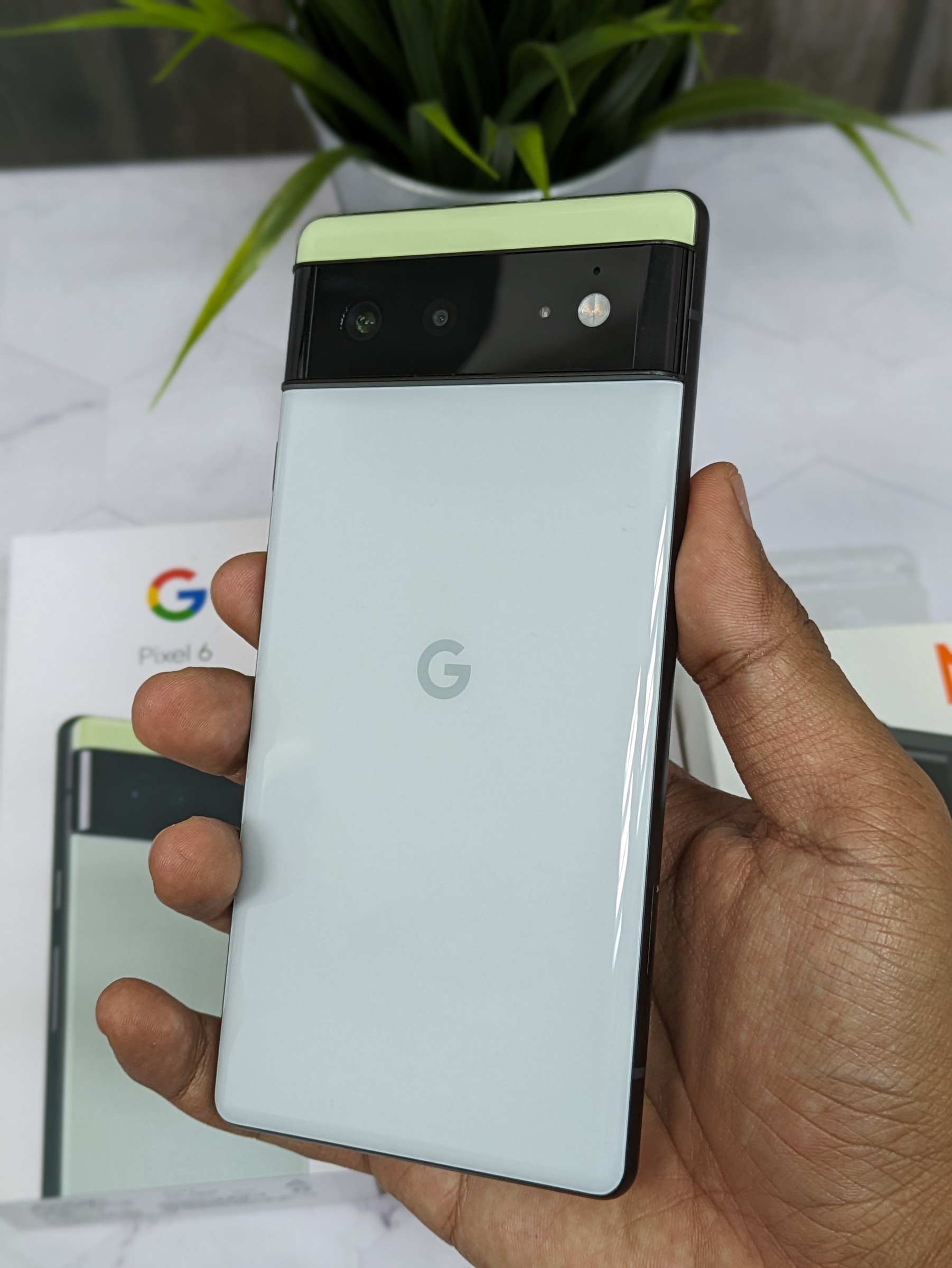 PXL_20230620_083408630.PORTRAIT