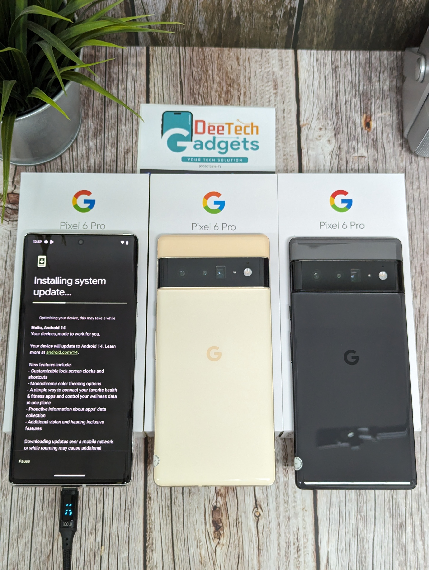 PXL_20231023_045936006