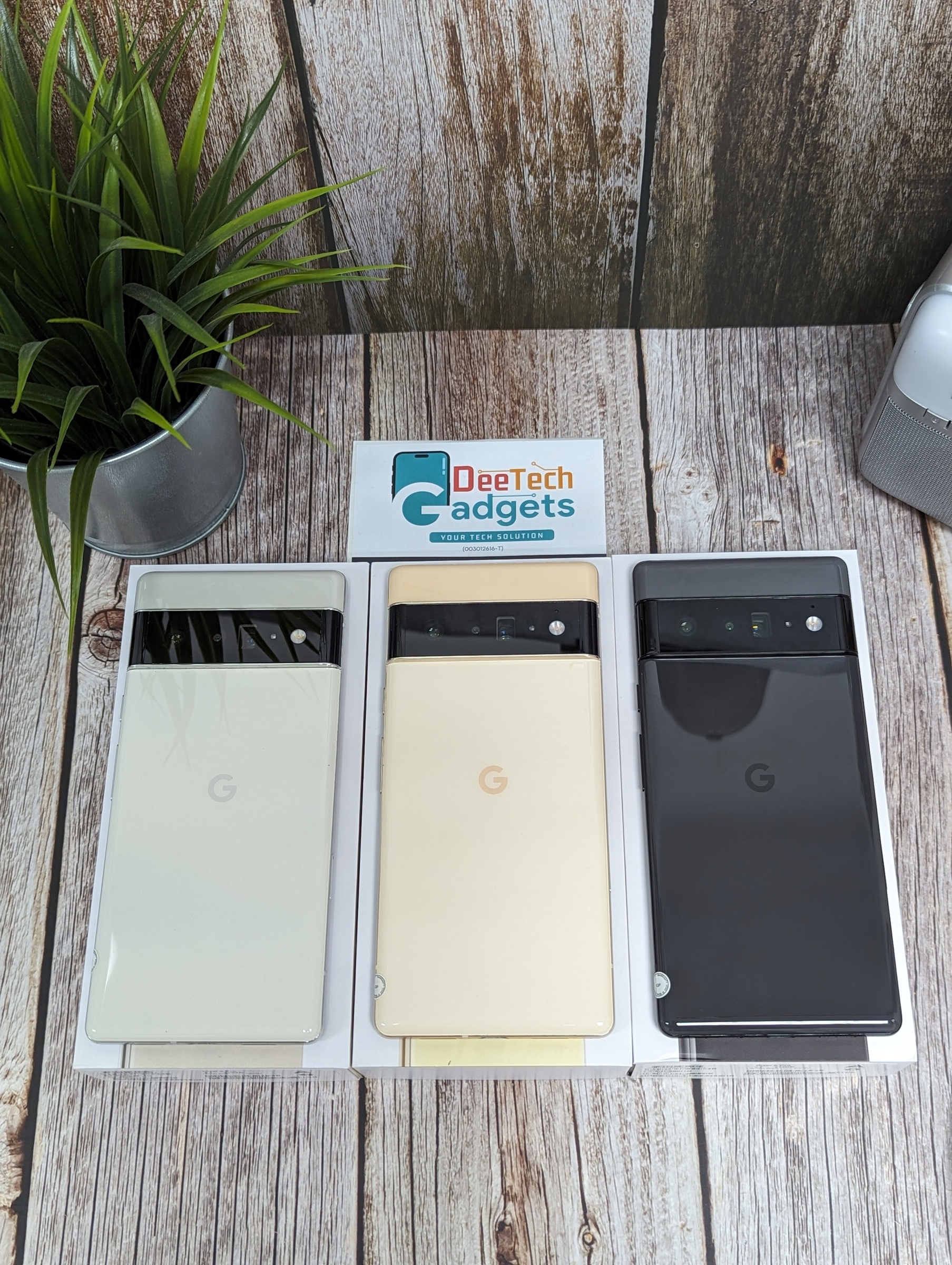 PXL_20231023_084902415.PORTRAIT.ORIGINAL