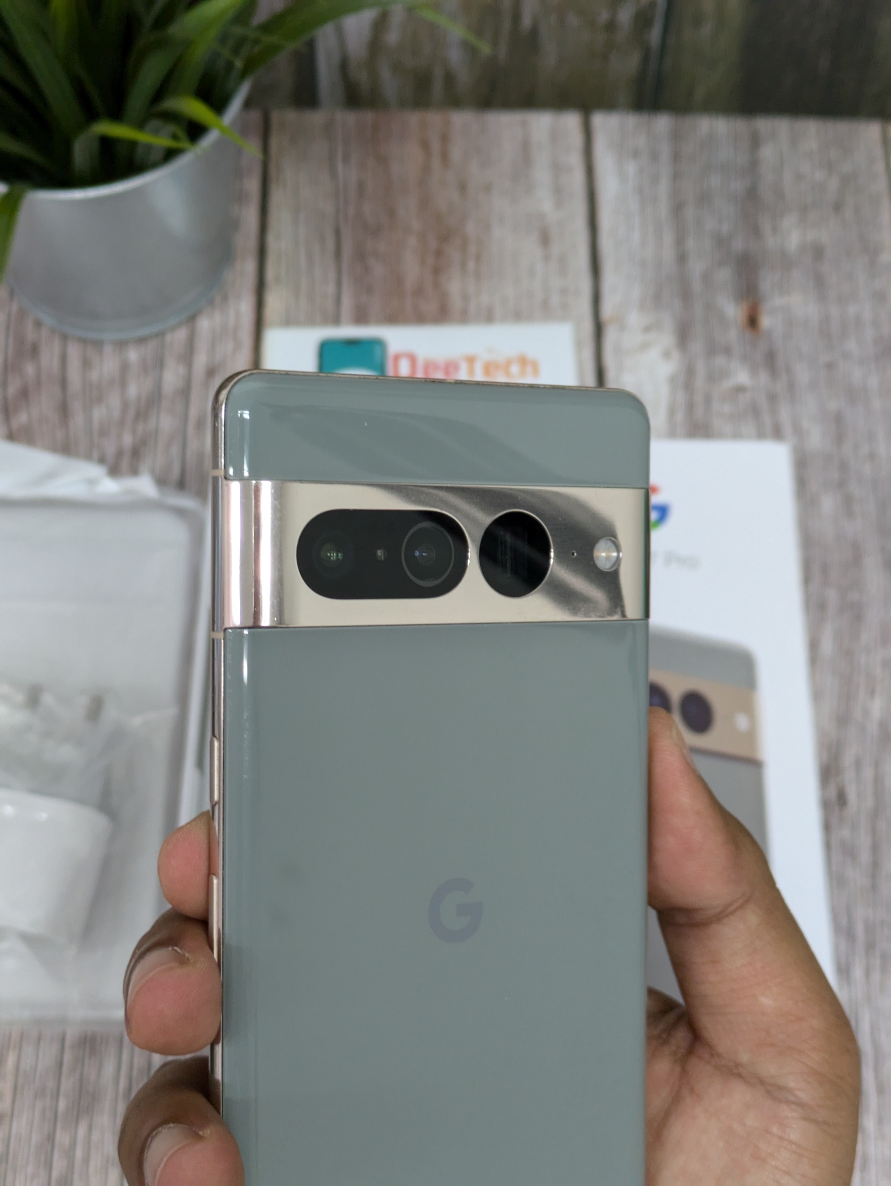 PXL_20240830_051428441